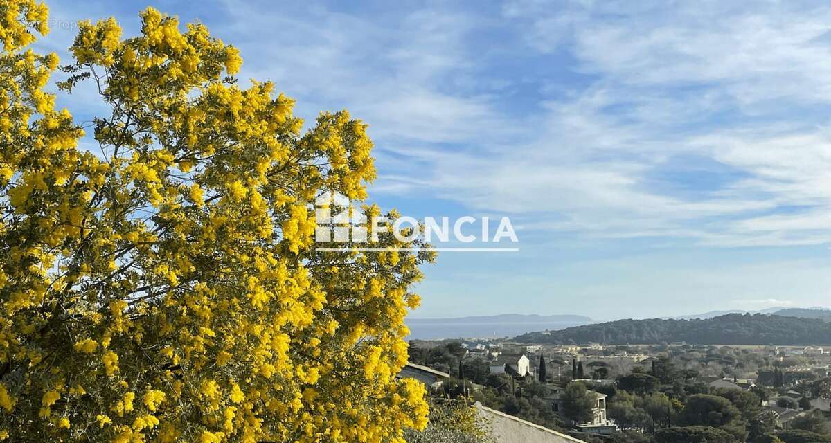 Appartement 2 pièces avec terrasse et jardin – Résidence récente à Bormes-les-Mimosas - photo 13