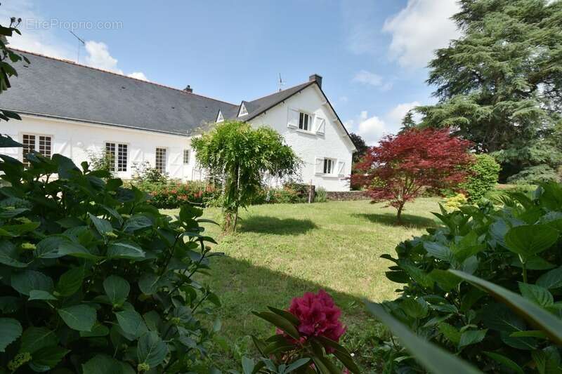 Maison à SAINT-MARS-LA-JAILLE
