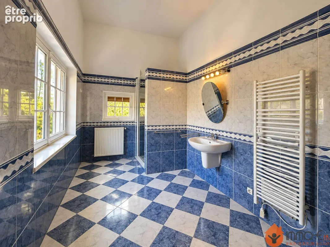 Maison 11 pièces 412 m² à vendre à Montevrain (77144) - photo 3