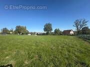 Terrain à SAINT-NEXANS