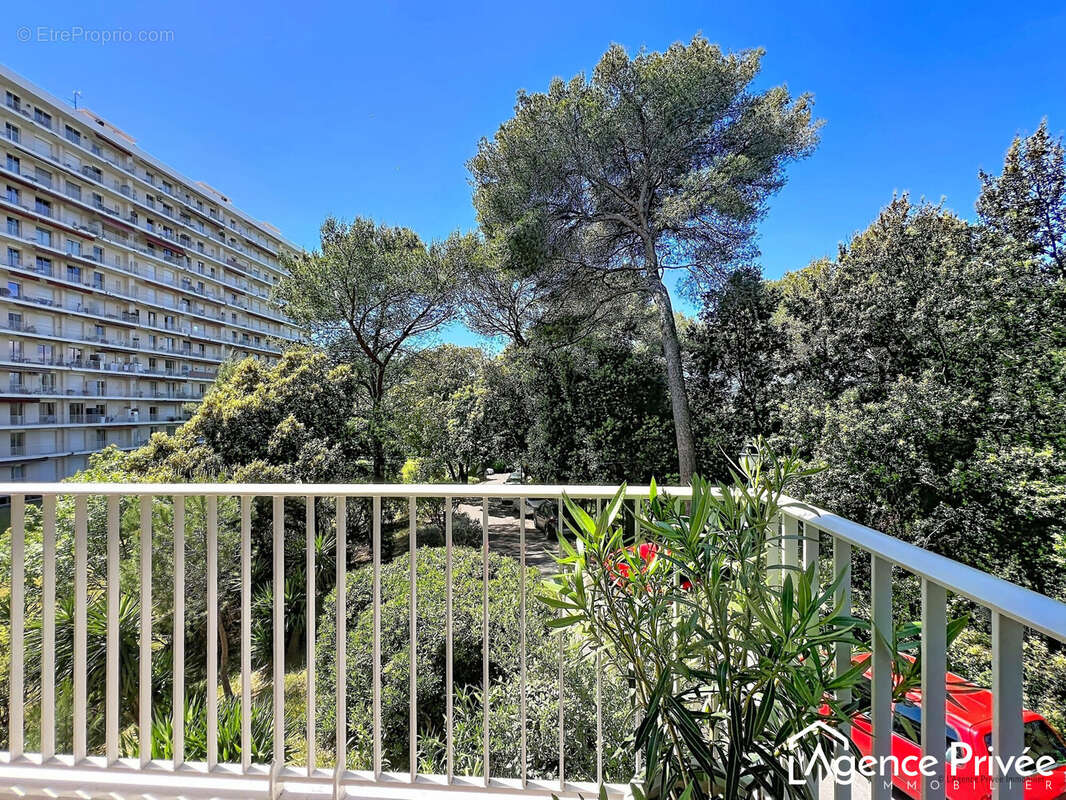 Vue terrasse sud