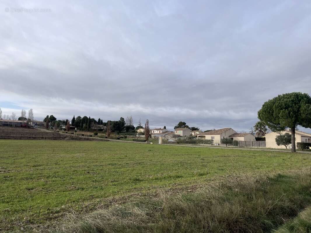 Terrain à BASSAN