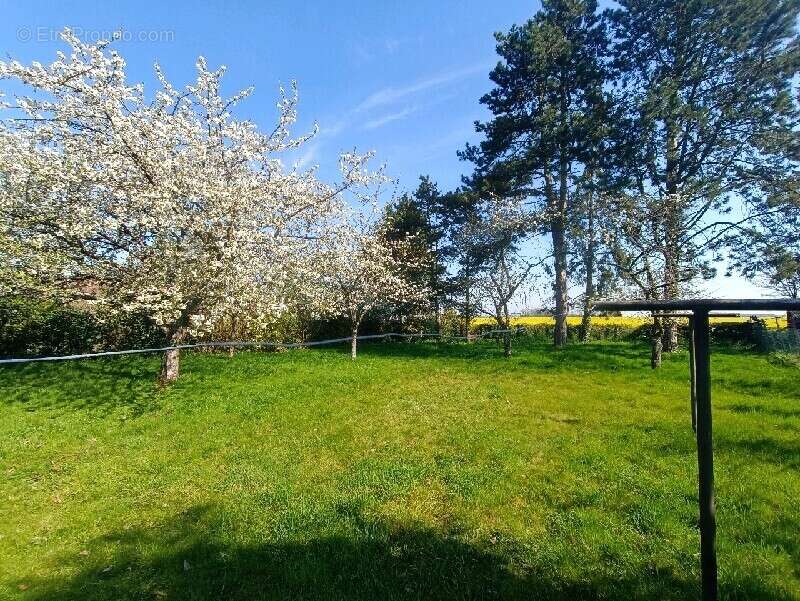 Maison à NONANCOURT