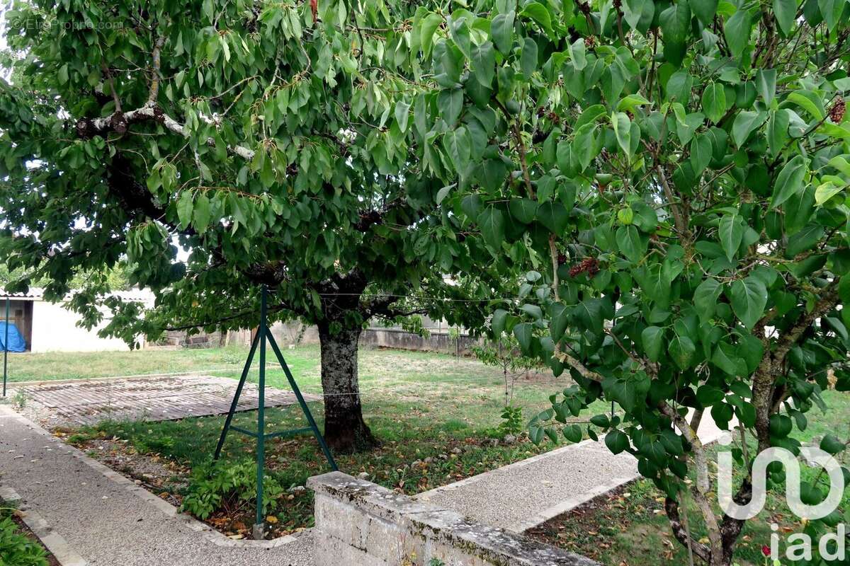 Photo 3 - Maison à CHAUVIGNY