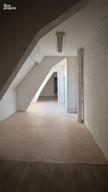 Demeure a vendre - hotel particulier centre ville romorantin lanthenay - photo 16