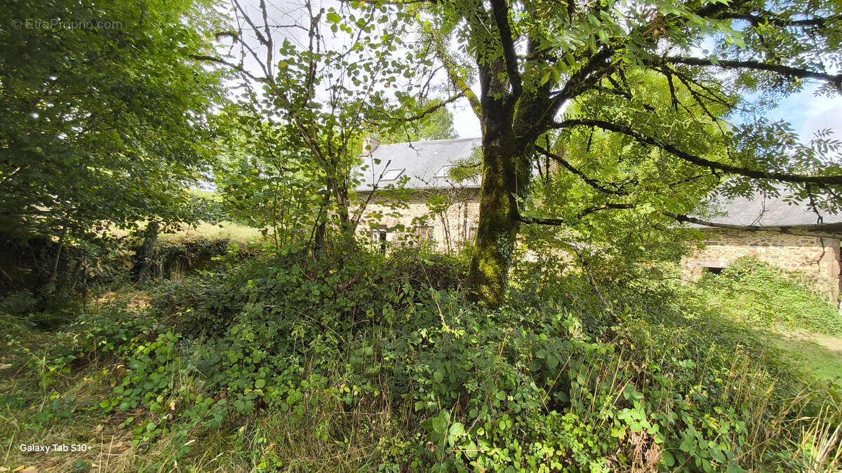 Maison à LA CROISILLE-SUR-BRIANCE