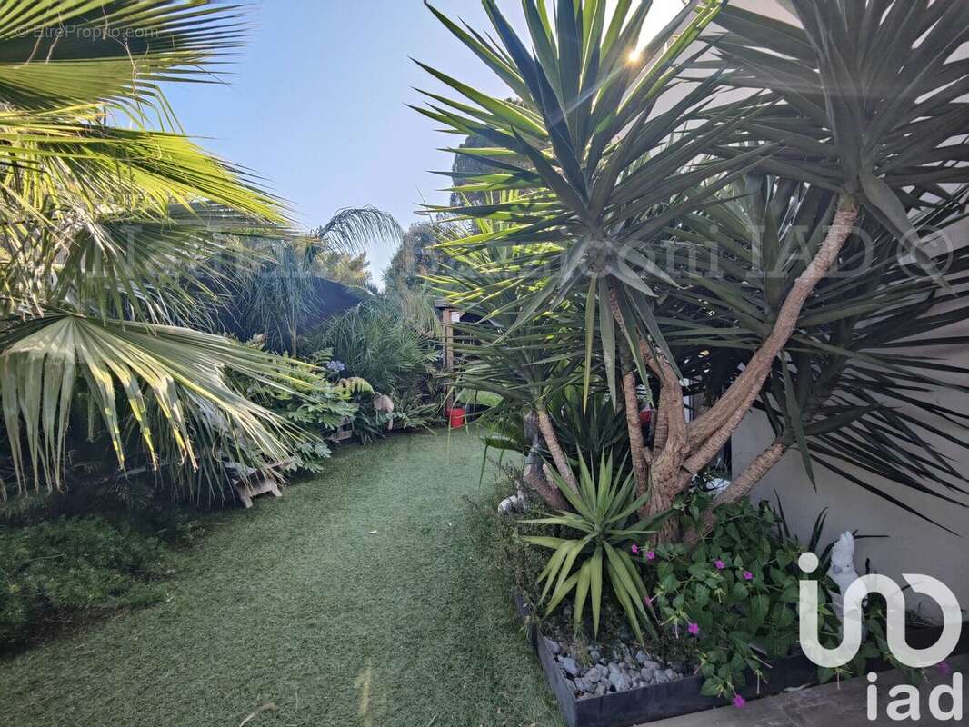 Photo 8 - Maison à LE PRADET