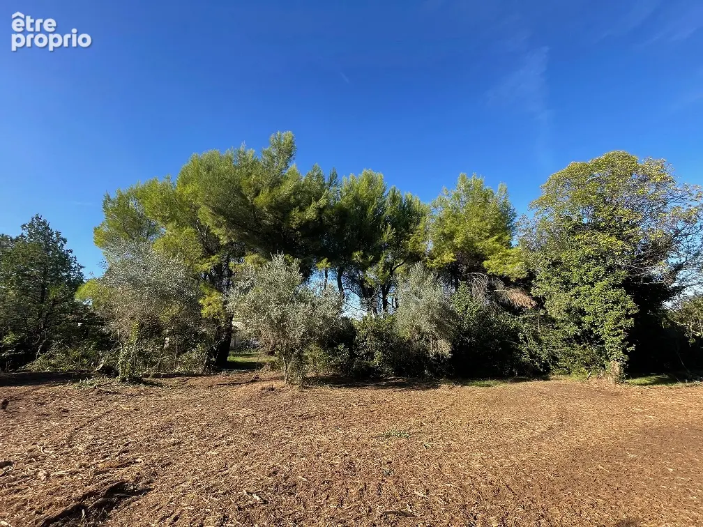 Jonquerettes, villa rez-de-chaussée dans quartier sans nuisances, lot n°7 - photo 4