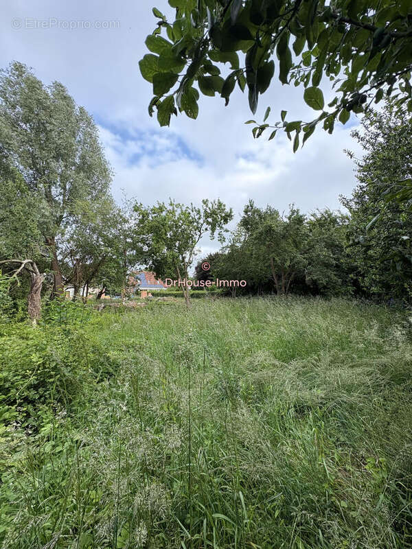 Terrain à LABEUVRIERE