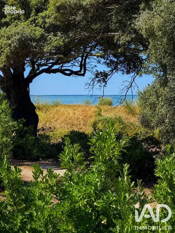 Photo 1 - Maison à CHATELAILLON-PLAGE