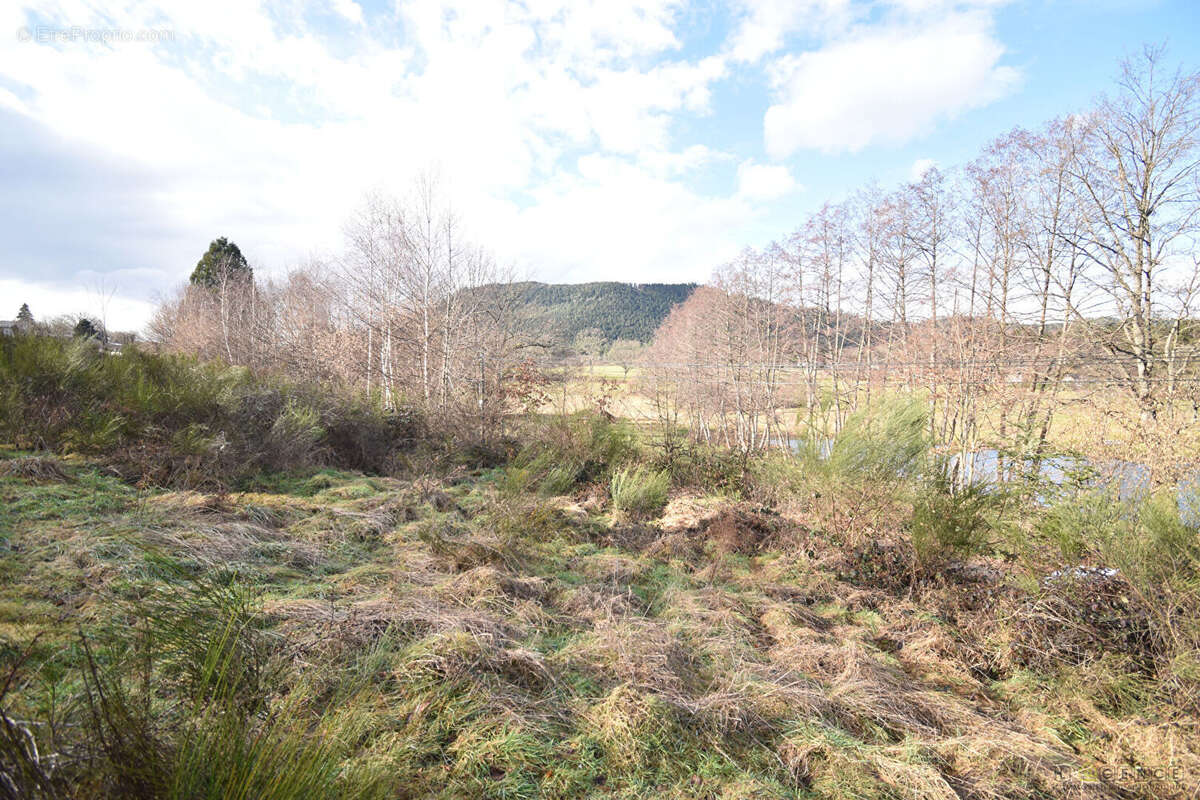 Terrain à SAULCY-SUR-MEURTHE