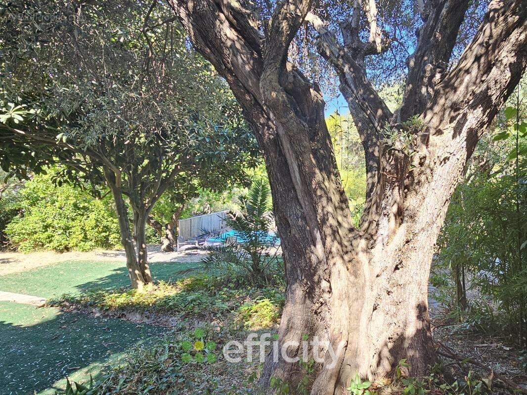 Maison 187 m² à Ceyreste  - photo 20