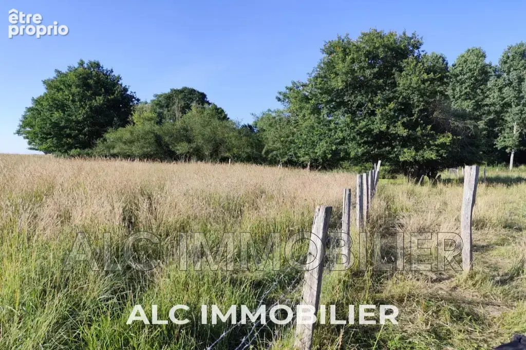 Terrain à vendre à Maresche (72170) - photo 1
