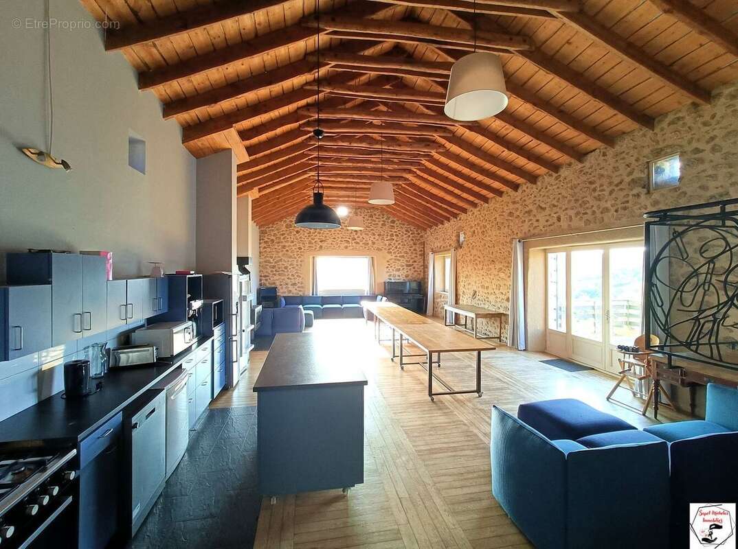 Maison 492 m² à Colombier-Le-Vieux  - photo 7