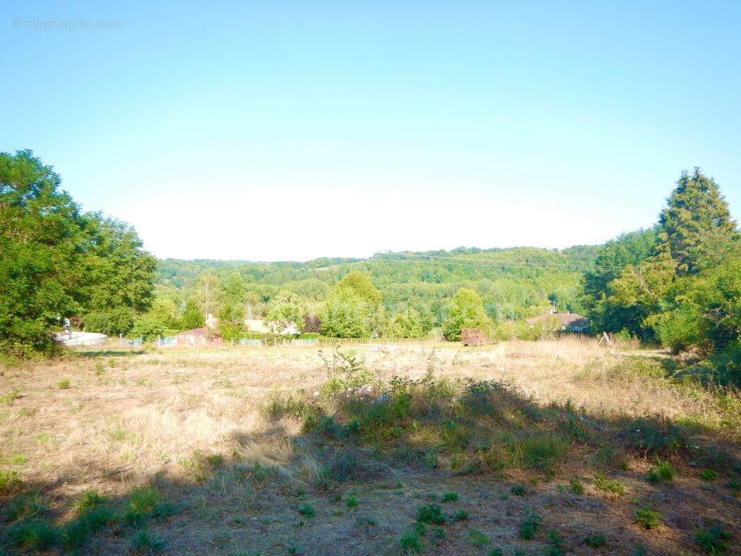 Terrain constructible 1215 m² CHATEAU-L'EVEQUE (24) - photo 2