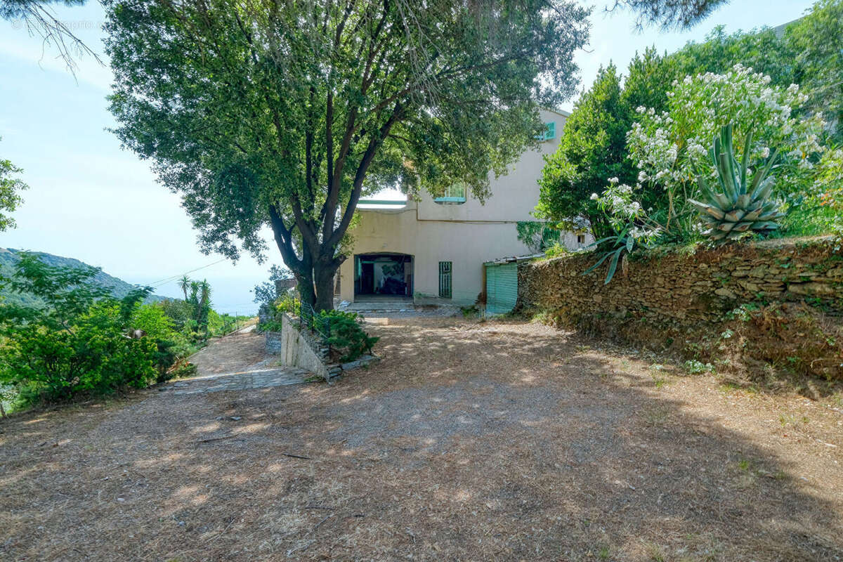 Maison 194m² à ville-di-pietrabugno - photo 3