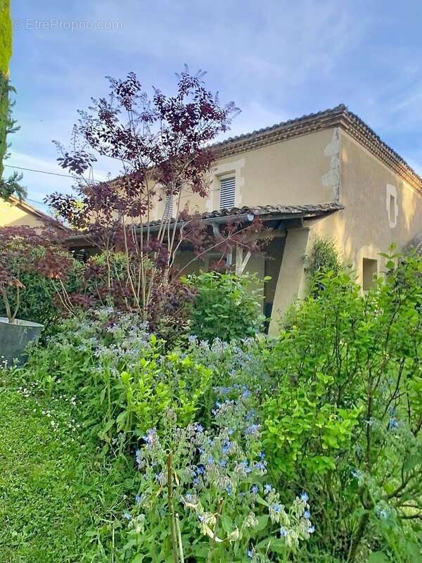 Maison 131 m² à Ordan-Larroque  - photo 4