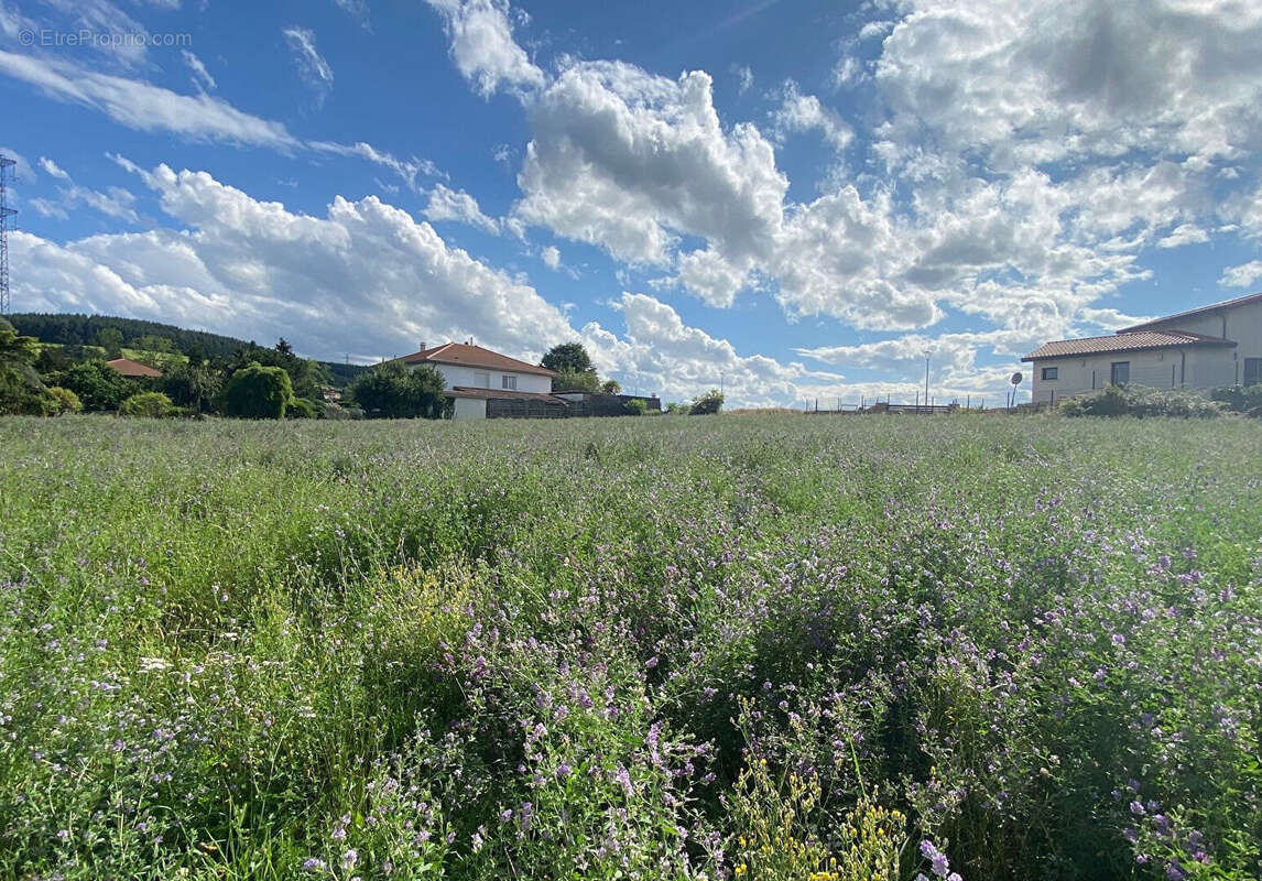 Maison à CHATEAUNEUF