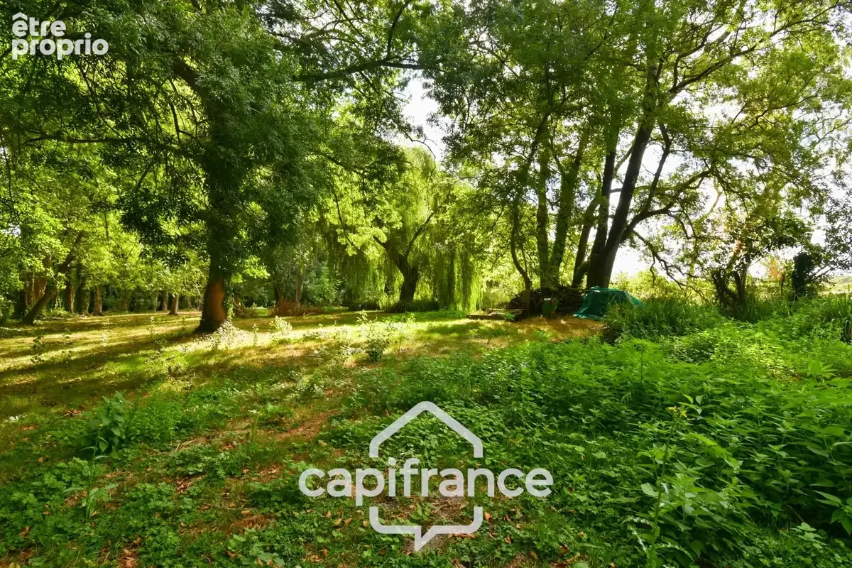 Maison de caractère à vendre 12 pièces SAINT SEVERIN SUR BOUTONNE (17) sur 4500m²de terrain arboré - photo 10