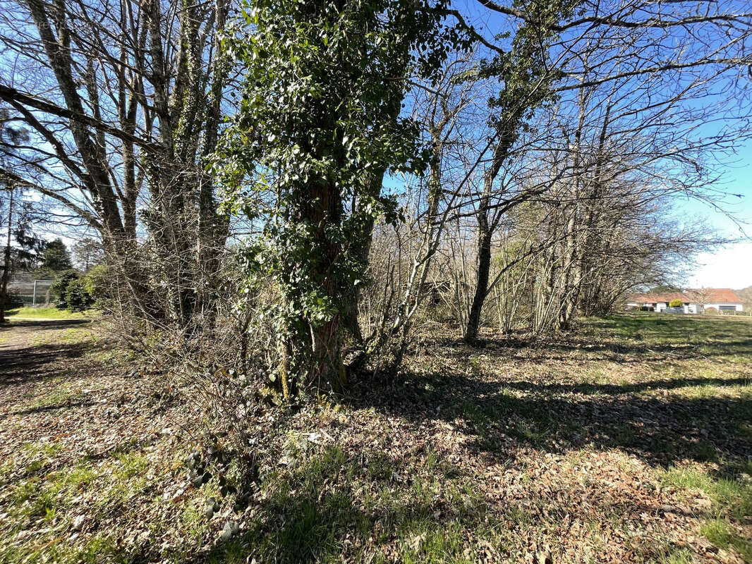 Terrain à SAINTE-MARIE-DE-CHIGNAC