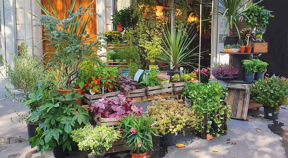 Commerce à PARIS-11E