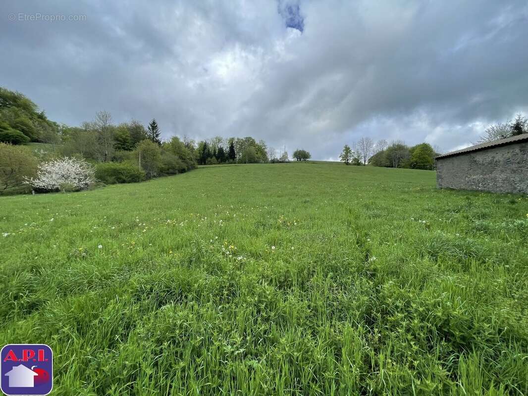Terrain 1598 m² à Roquefeuil  - photo 2