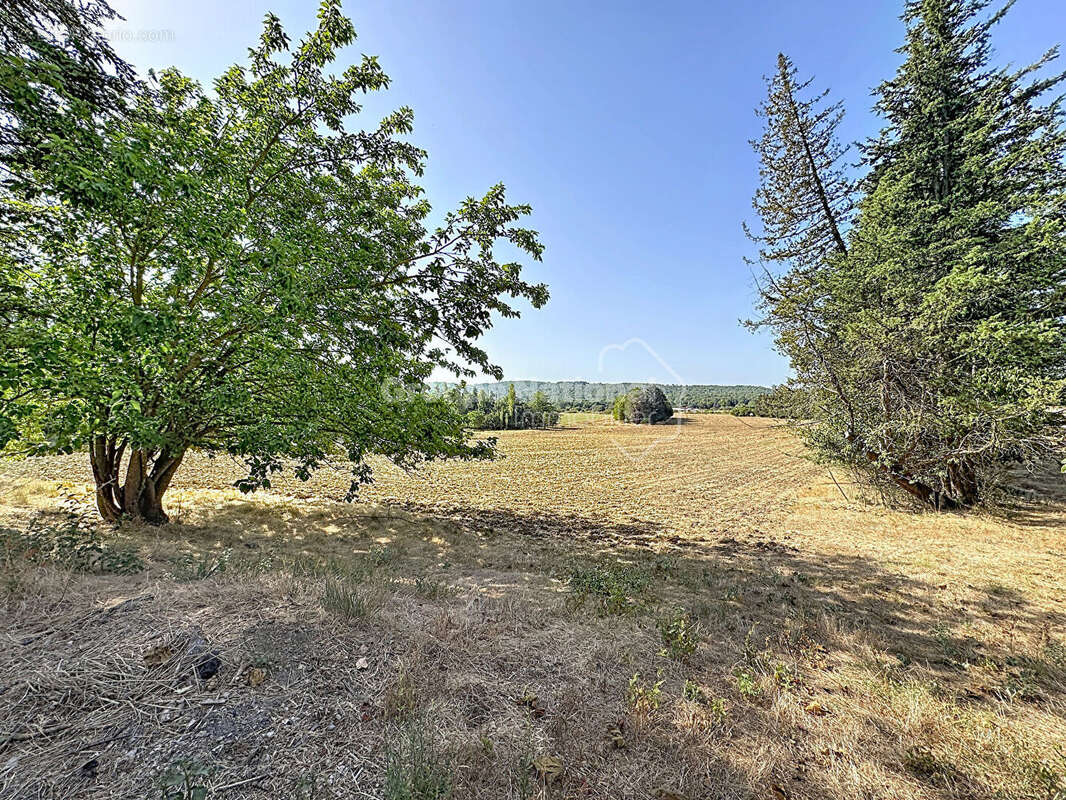 Propriété de caractère Bastide, dépendances, énorme potentiel ! - photo 11