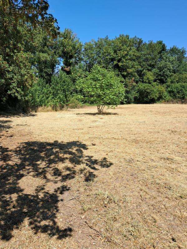 Terrain à construire à la campagne de Saulcet - photo 2