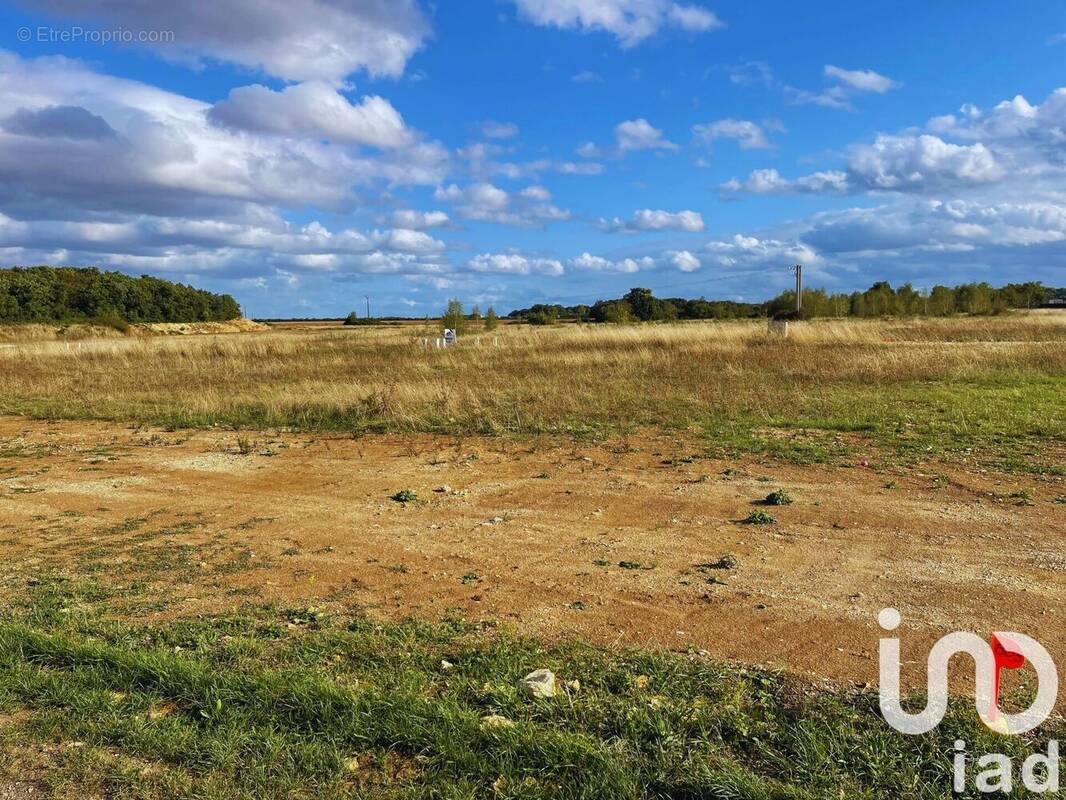 Photo 1 - Terrain à SAINT-FLORENT-SUR-CHER