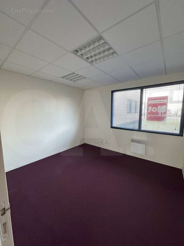 Commerce à PLOUFRAGAN