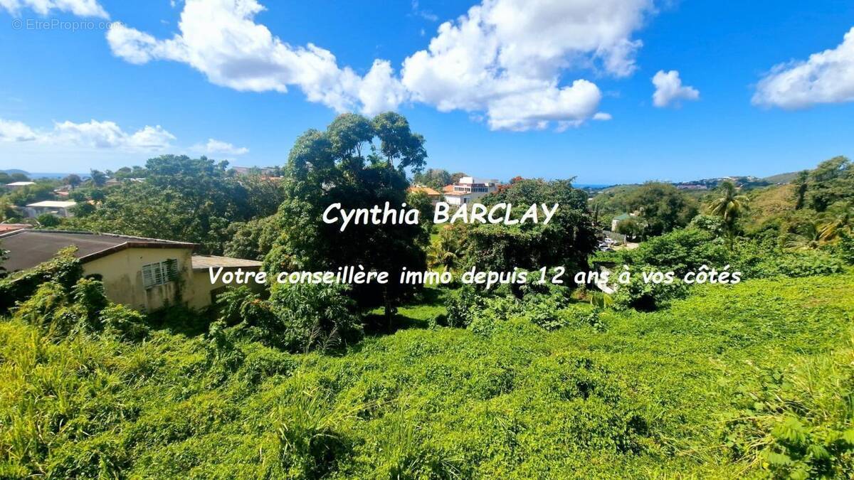 Terrain à FORT-DE-FRANCE