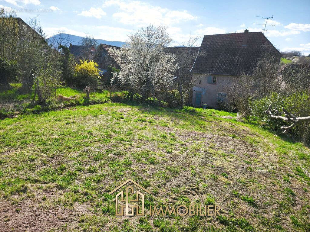 Terrain à VILLE