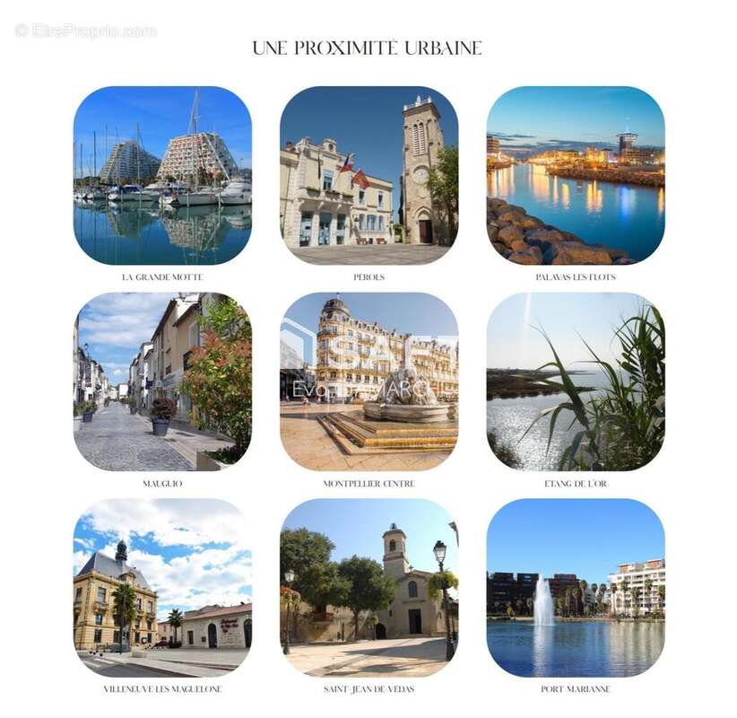 Photo 5 - Appartement à LATTES