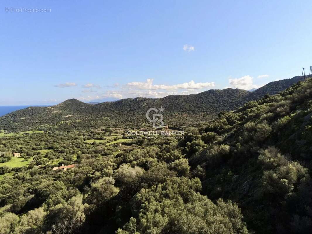 Terrain à MONTICELLO