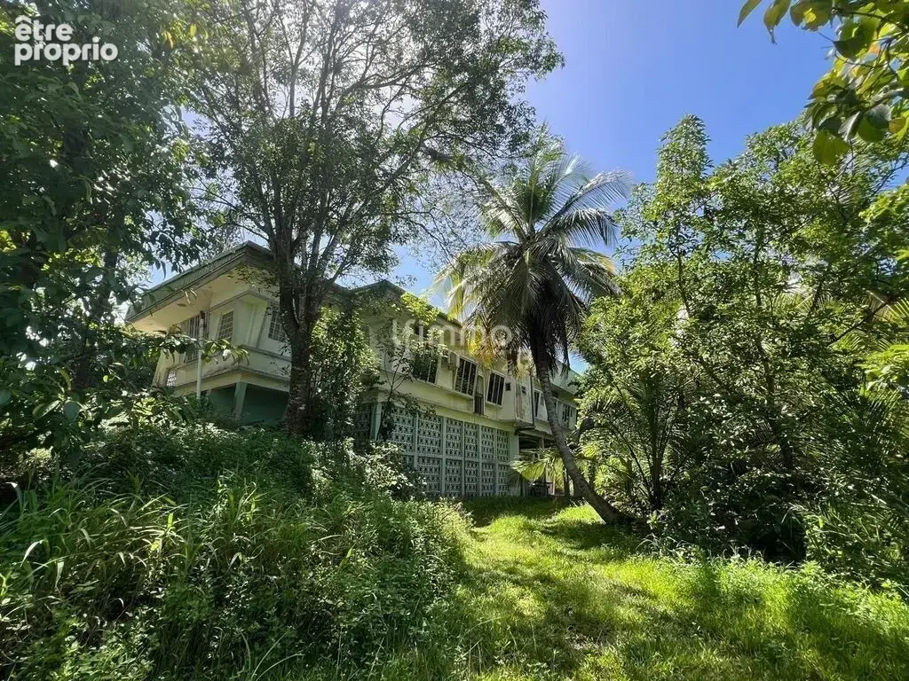 Terrain de 1.2 hectares avec villa 395 m2 et dépendance à rénove - photo 3