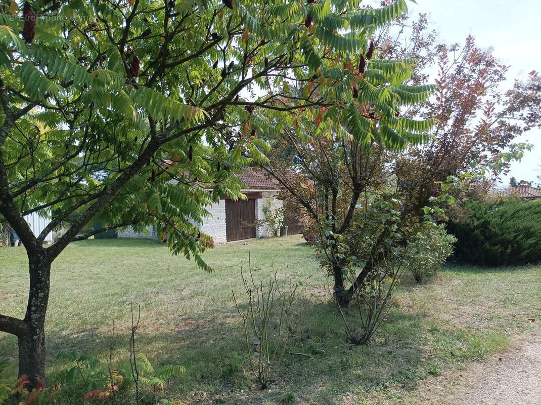 Maison 186 m² à Saint-Severin  - photo 63
