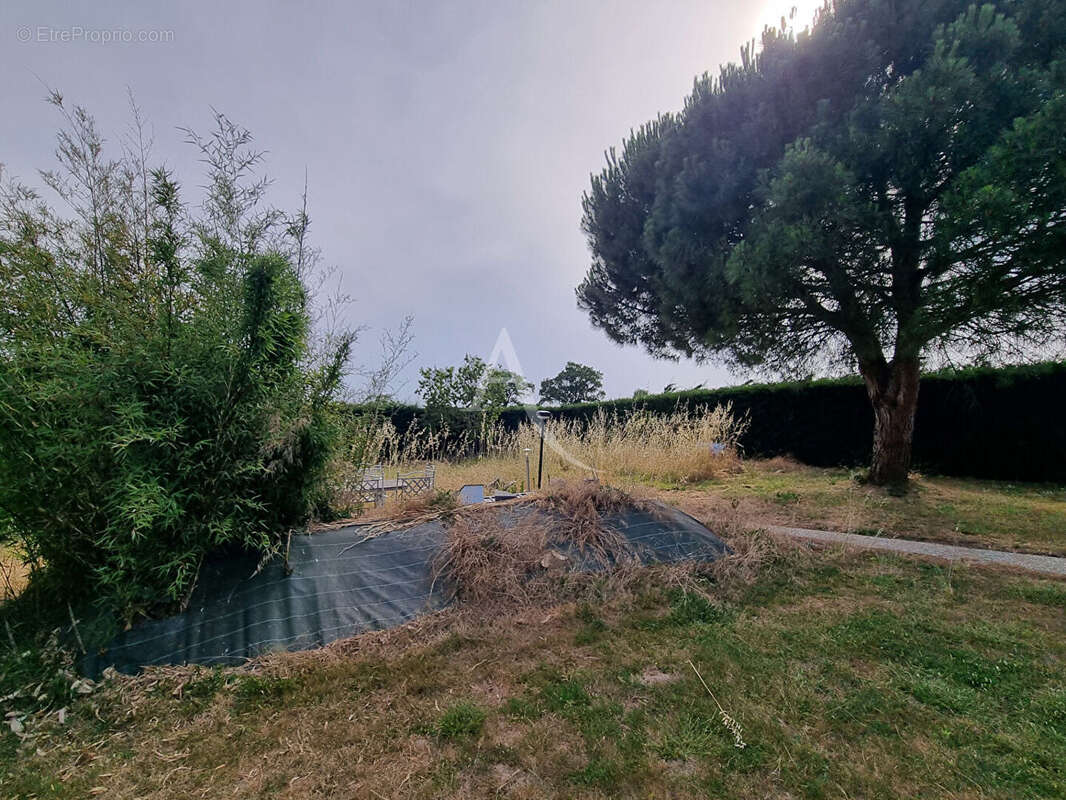 Terrain à CHAMPTOCE-SUR-LOIRE