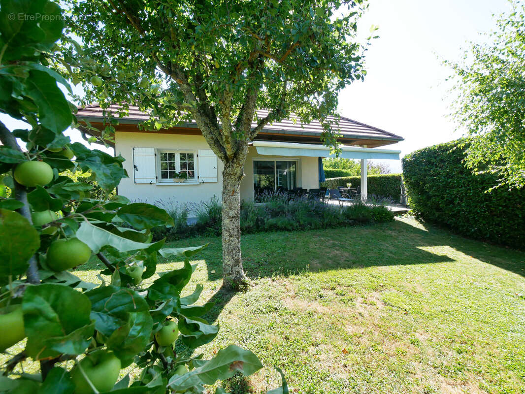Belle villa contemporaine à Héry-sur-Alby - photo 2