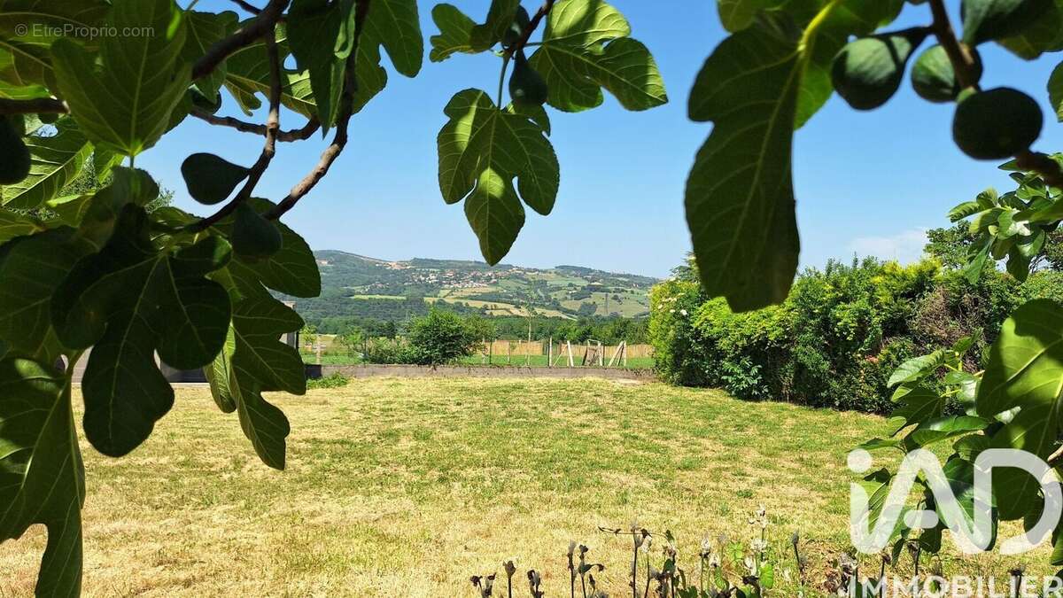 Photo 3 - Terrain à FLEURIEUX-SUR-L'ARBRESLE