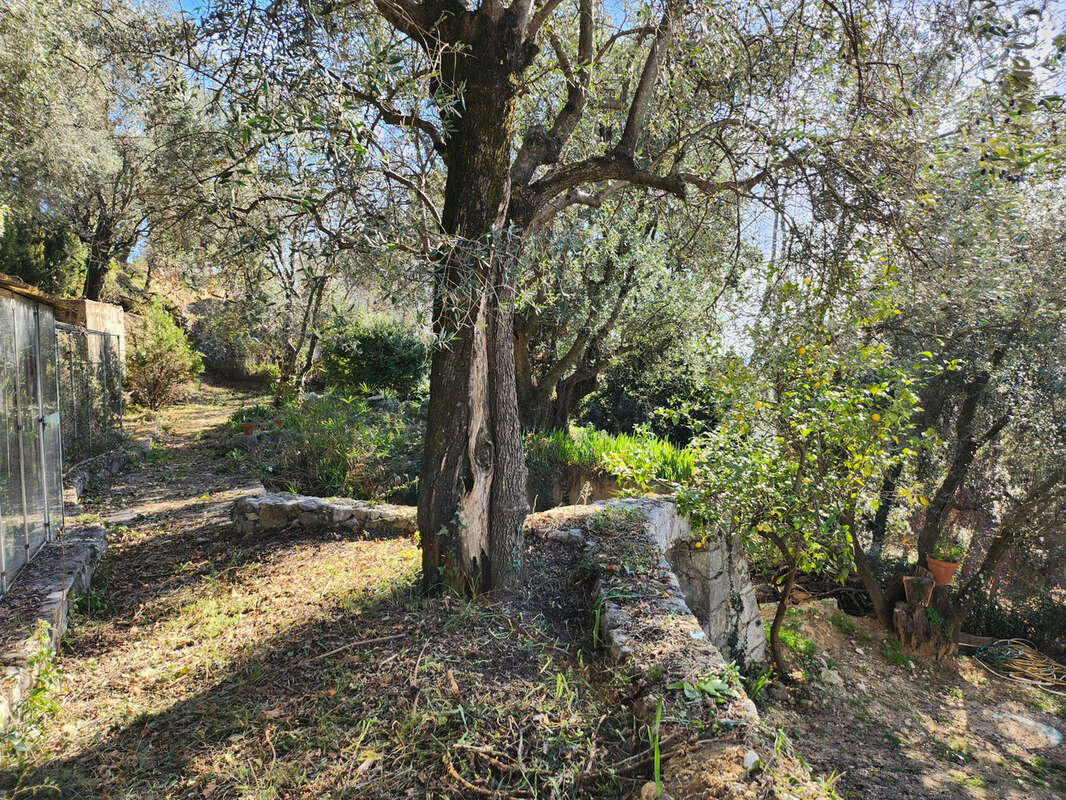 Terrain à SAINT-BLAISE