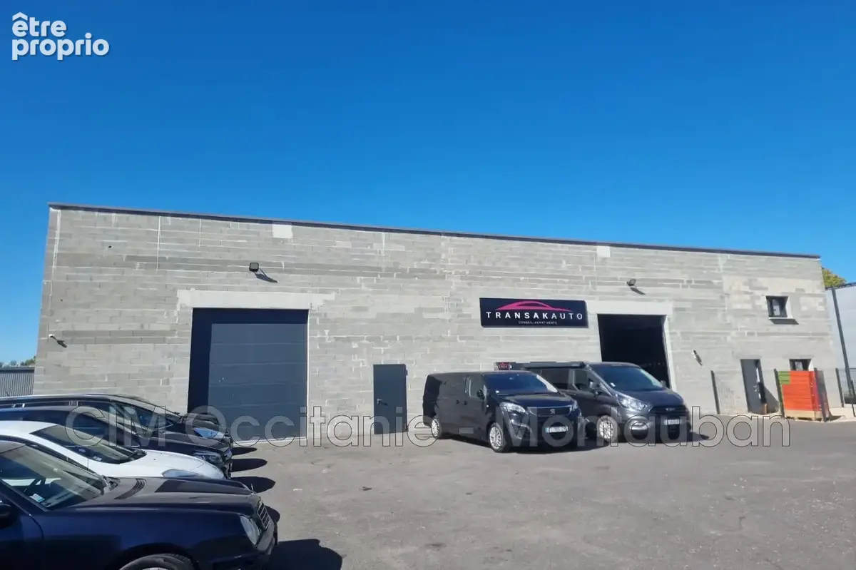 Commerce 300 m² à vendre à Grisolles (82170) - photo 6