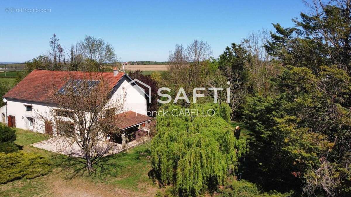 Maison 390 m² à Saint-Didier-La-Foret  - photo 6