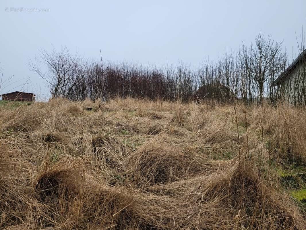 Terrain à MONCEL-SUR-SEILLE