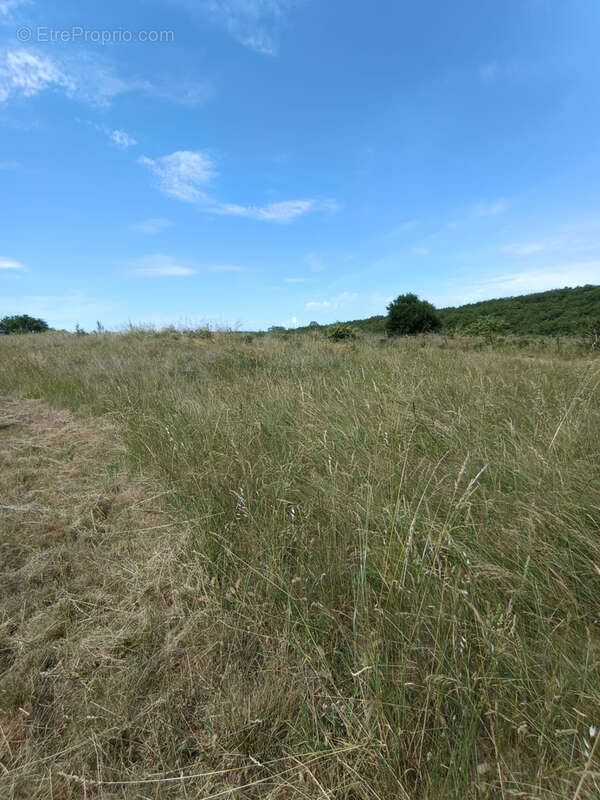 Terrain à LAVILLEDIEU