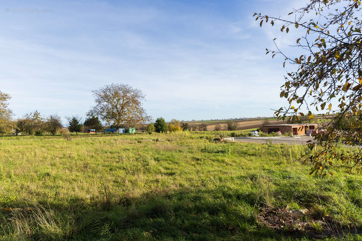 Terrain à OSTHOFFEN