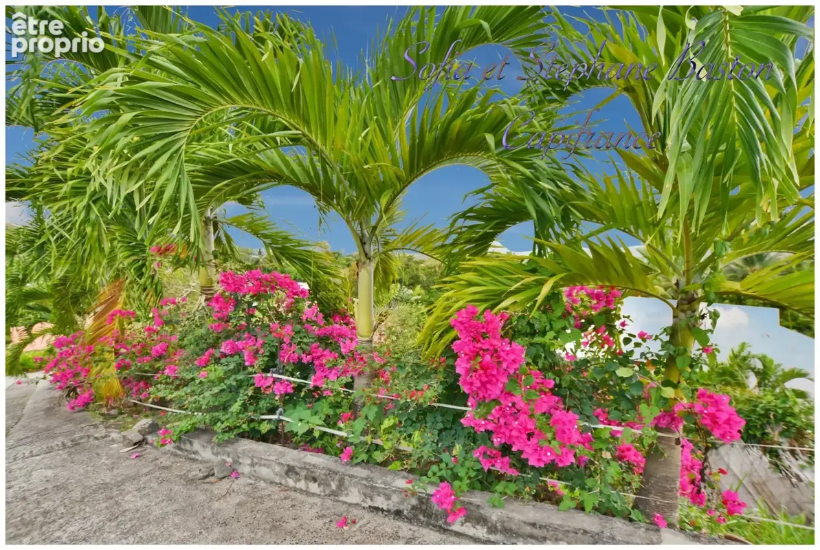 À vendre - Sainte-Luce Martinique - Propriété 5 logements indépendants - 241 m² habitables - Vue mer - P10 - photo 41