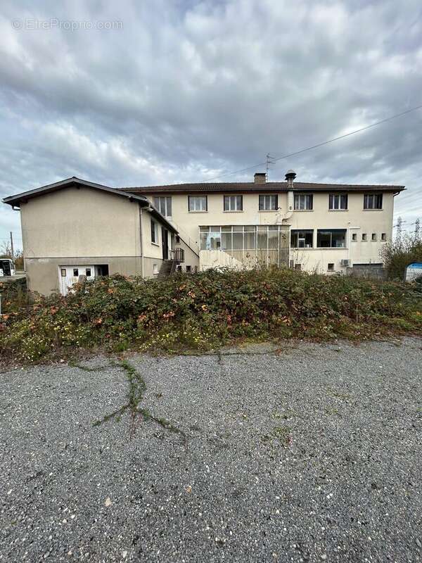 Commerce à CHAMPIGNY