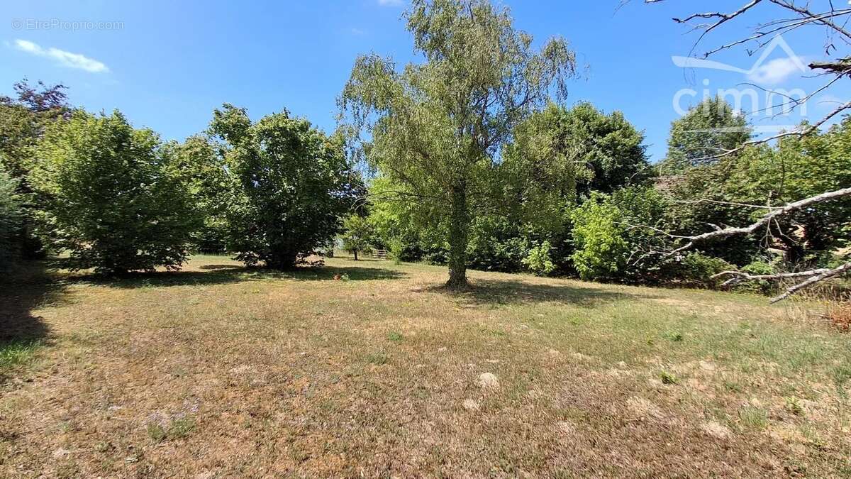 A Vendre, Vineuil, Terrain constructible de 1097m² - photo 3