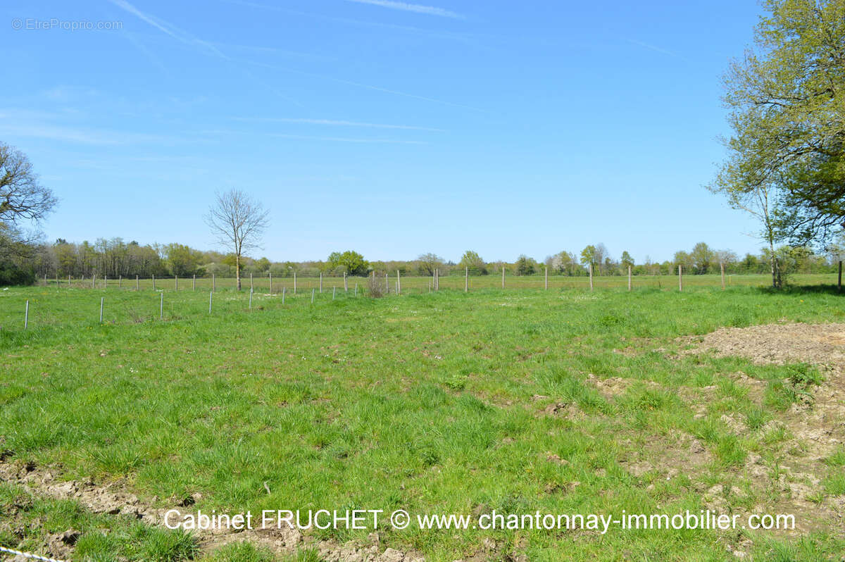 Maison à SAINT-PROUANT