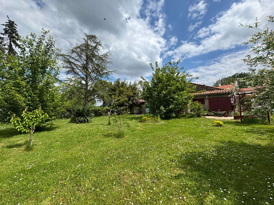 Maison à VENANSAULT